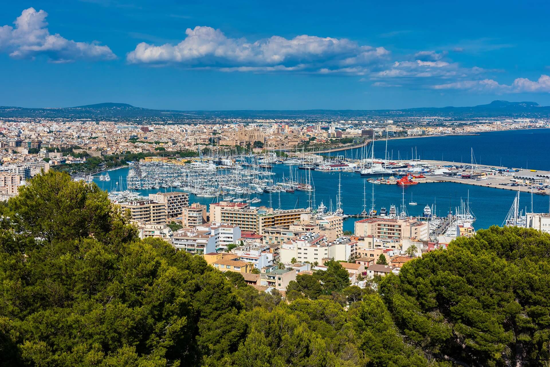 Palma de Mallorca/La Lonja Marina Charter